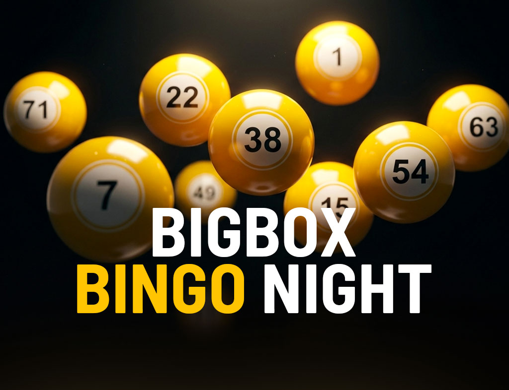 Bingo-Night-Push